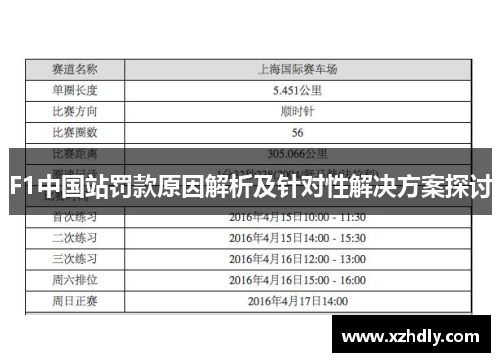F1中国站罚款原因解析及针对性解决方案探讨