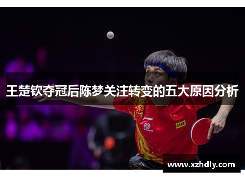 王楚钦夺冠后陈梦关注转变的五大原因分析